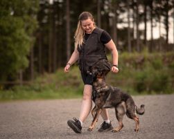 Instruktør bronsemerke.jpg